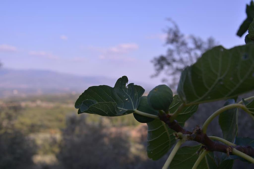 Monolocale, Letto Matrimoniale, La Cantina Vivajo Εξωτερικό φωτογραφία