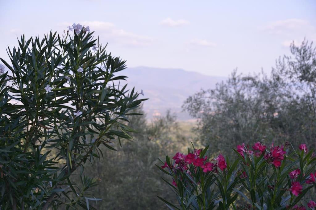 Monolocale, Letto Matrimoniale, La Cantina Vivajo Εξωτερικό φωτογραφία