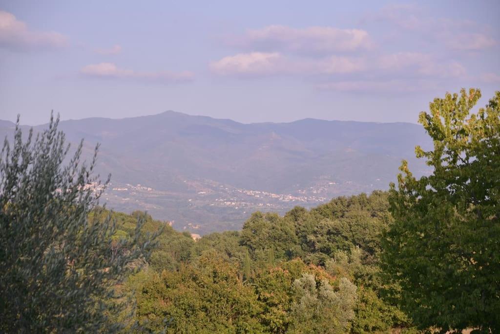 Monolocale, Letto Matrimoniale, La Cantina Vivajo Εξωτερικό φωτογραφία