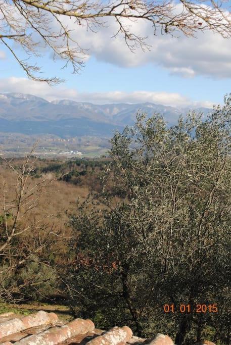 Monolocale, Letto Matrimoniale, La Cantina Vivajo Εξωτερικό φωτογραφία