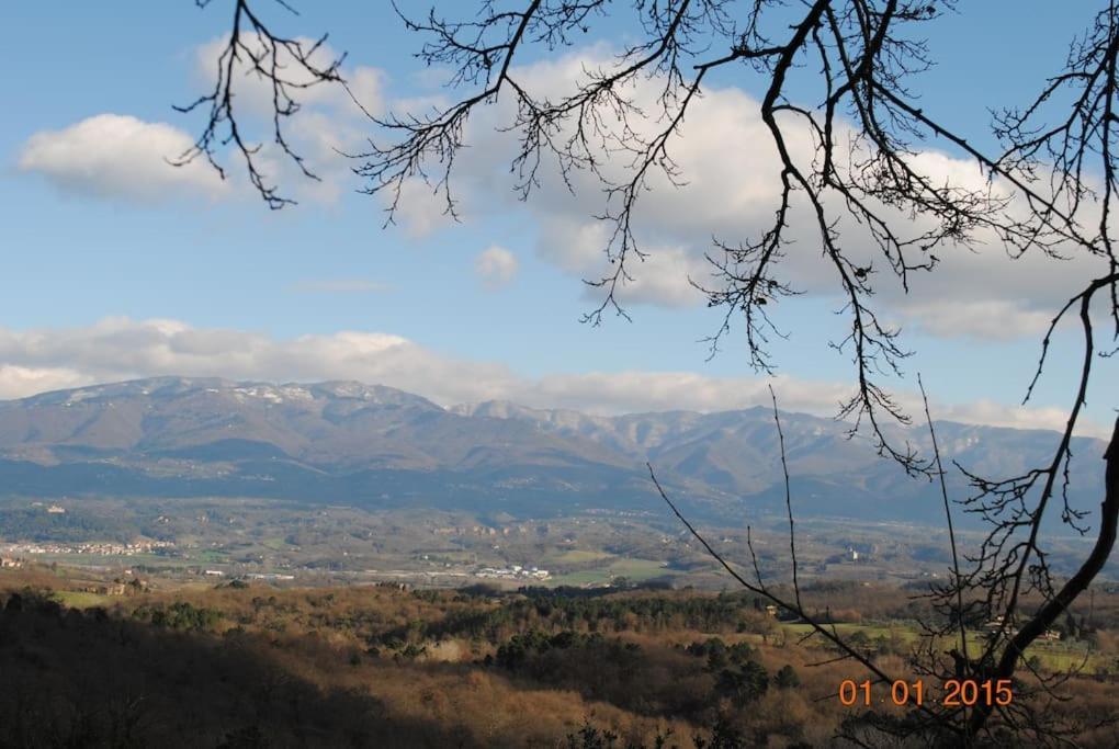 Monolocale, Letto Matrimoniale, La Cantina Vivajo Εξωτερικό φωτογραφία