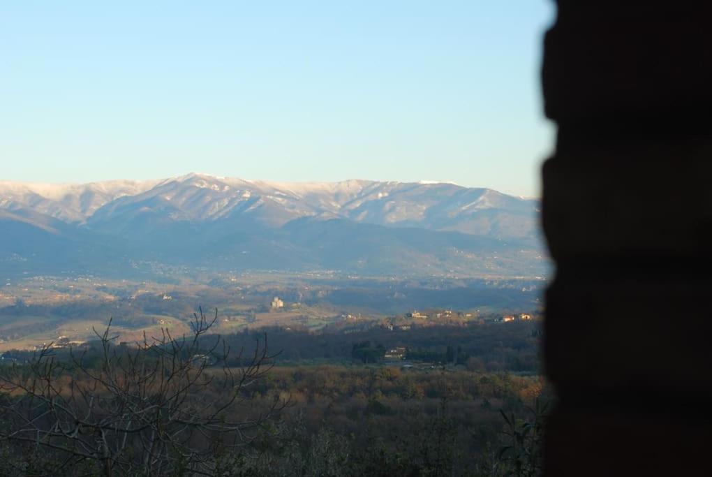 Monolocale, Letto Matrimoniale, La Cantina Vivajo Εξωτερικό φωτογραφία