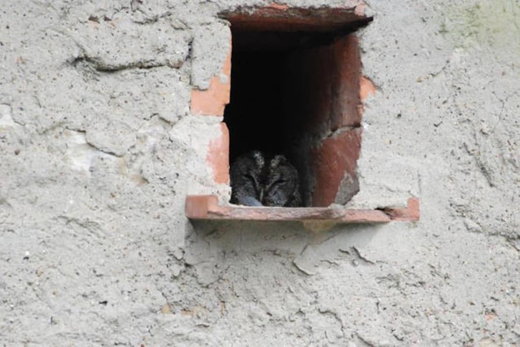 Monolocale, Letto Matrimoniale, La Cantina Vivajo Εξωτερικό φωτογραφία