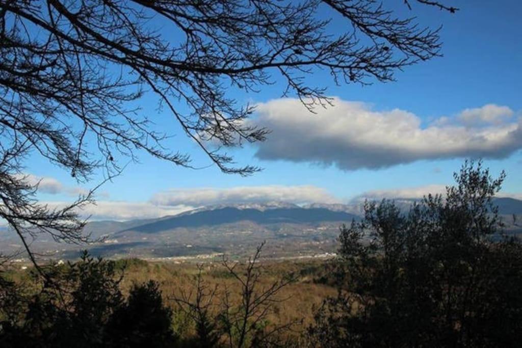 Monolocale, Letto Matrimoniale, La Cantina Vivajo Εξωτερικό φωτογραφία